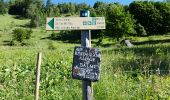 Tour Wandern Chamonix-Mont-Blanc - CHAMONIX (Aiguillette des Posettes) - Photo 3