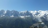 Excursión Senderismo Chamonix-Mont-Blanc - CHAMONIX(Planpraz-Flégère) - Photo 7