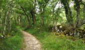 Trail Walking Montricoux - marche du 060717 - Photo 1