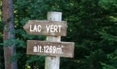 Trail Walking Passy - CHAMONIX (Les Ayères) - Photo 8