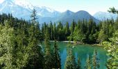 Randonnée Marche Passy - CHAMONIX (Les Ayères) - Photo 7