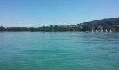 Trail Other activity Estavayer - lac de Neuchâtel en Paddle - Photo 8