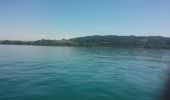 Trail Other activity Estavayer - lac de Neuchâtel en Paddle - Photo 7