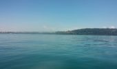 Randonnée Autre activité Estavayer - lac de Neuchâtel en Paddle - Photo 6