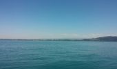 Tocht Andere activiteiten Estavayer - lac de Neuchâtel en Paddle - Photo 5