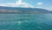 Randonnée Autre activité Estavayer - lac de Neuchâtel en Paddle - Photo 4