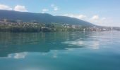 Randonnée Autre activité Estavayer - lac de Neuchâtel en Paddle - Photo 2