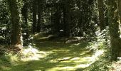 Trail Walking Chauvigné - 04.07.2017 - CHAUVIGNÉ à ST MARC LE BLANC Corrigé - Photo 2