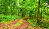 Tocht Stappen La Ferté-Milon - en forêt de Retz_55_le bois de Borny - Photo 20
