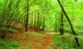 Trail Walking La Ferté-Milon - en forêt de Retz_55_le bois de Borny - Photo 15