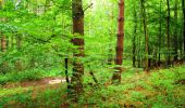 Tocht Stappen La Ferté-Milon - en forêt de Retz_55_le bois de Borny - Photo 14