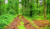 Randonnée Marche La Ferté-Milon - en forêt de Retz_55_le bois de Borny - Photo 19