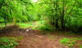 Randonnée Marche La Ferté-Milon - en forêt de Retz_55_le bois de Borny - Photo 17