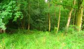 Randonnée Marche La Ferté-Milon - en forêt de Retz_55_le bois de Borny - Photo 8