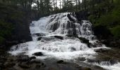 Trail Walking Névache - la cascade de fondcouverte - Photo 1