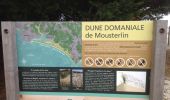 Tour Wandern Fouesnant - dune de MOUSTERLIN - Photo 3