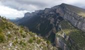 Tour Wandern La Chapelle-en-Vercors - Boucle au belvédère le Revoulat par le rocher d'Echevis - Photo 1