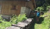 Tour Wandern Pralognan-la-Vanoise - la cholliere au départ de pralognan  - Photo 2