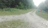 Trail Walking Flavigny-sur-Moselle - Flavigny 2  12 100m + 197m  - Photo 2