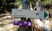 Trail Walking Vallorcine - CHAMONIX (Chalet de Loriaz)  - Photo 3