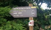 Trail Walking Crozon - Le Fret - La balade de Saint Fiacre - 6,7 km - Photo 8