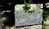Randonnée Marche Crozon - Cap de la Chèvre - L'ïle Vierge - 8,4 km - Photo 8