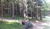 Trail Mountain bike Saint-Nizier-du-Moucherotte - St Nizier - Lans en Vercors A&R en boucle - Photo 5