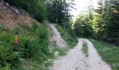 Trail Mountain bike Saint-Nizier-du-Moucherotte - St Nizier - Lans en Vercors A&R en boucle - Photo 4