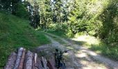 Trail Mountain bike Saint-Nizier-du-Moucherotte - St Nizier - Lans en Vercors A&R en boucle - Photo 1