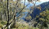 Tocht Stappen Le Valtin - tour du lac blanc depuis  le gazon du faing - Photo 1