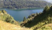 Tocht Stappen Le Valtin - tour du lac blanc depuis  le gazon du faing - Photo 3