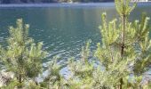 Percorso Marcia Le Valtin - tour du lac blanc depuis  le gazon du faing - Photo 4