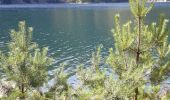 Tocht Stappen Le Valtin - tour du lac blanc depuis  le gazon du faing - Photo 4