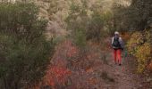 Tocht Stappen Saint-Raphaël - la dent de l'ours - Photo 13