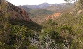 Tocht Stappen Saint-Raphaël - la dent de l'ours - Photo 15