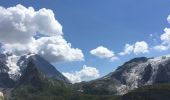 Excursión Senderismo Pralognan-la-Vanoise - mont bochor par téléphérique les barmettes retour par sentier des fontanelles - Photo 1
