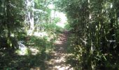 Trail Walking Cernon - Cernon-bords de l'Ain - Photo 2