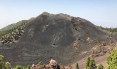 Tour Wandern El Paso - LSG El ruta de los volcanes  - Photo 11