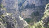 Tour Wandern Beauvezer - les gorges de St-Pierre - Photo 10