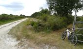 Trail Mountain bike Mézières-en-Brenne - 1707_Brenne N°4 - Photo 5