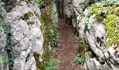 Trail Walking Nébias - Sentier nature - labyrinthe vert - Photo 2