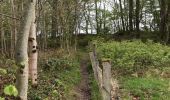 Trail Walking Vresse-sur-Semois - Toertje Bohan - Photo 4