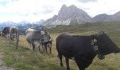Tour Wandern Brixen - Dolomiten Panoramaweg - Photo 15