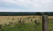 Excursión Bici de montaña Jalhay - 20170726 Pivert à Solwaster  - Photo 12