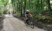 Excursión Bici de montaña Jalhay - 20170726 Pivert à Solwaster  - Photo 9