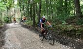 Tocht Mountainbike Jalhay - 20170726 Pivert à Solwaster  - Photo 9