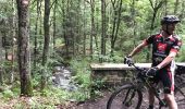 Tocht Mountainbike Jalhay - 20170726 Pivert à Solwaster  - Photo 6