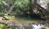 Tocht Stappen Saint-Claude - Gorges de l'abîme Crêt Pourri - Photo 11