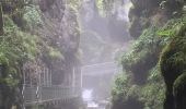 Tour Wandern Saint-Claude - Gorges de l'abîme Crêt Pourri - Photo 10