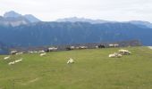 Tour Wandern Brixen - Plose - Schatzerhütte - Photo 15